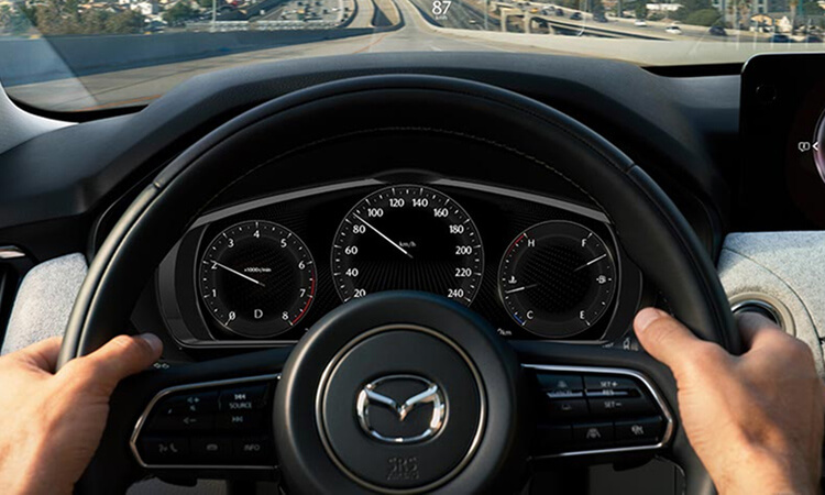 Drivers POV of hands on steering wheel inside a moving vehicle.  